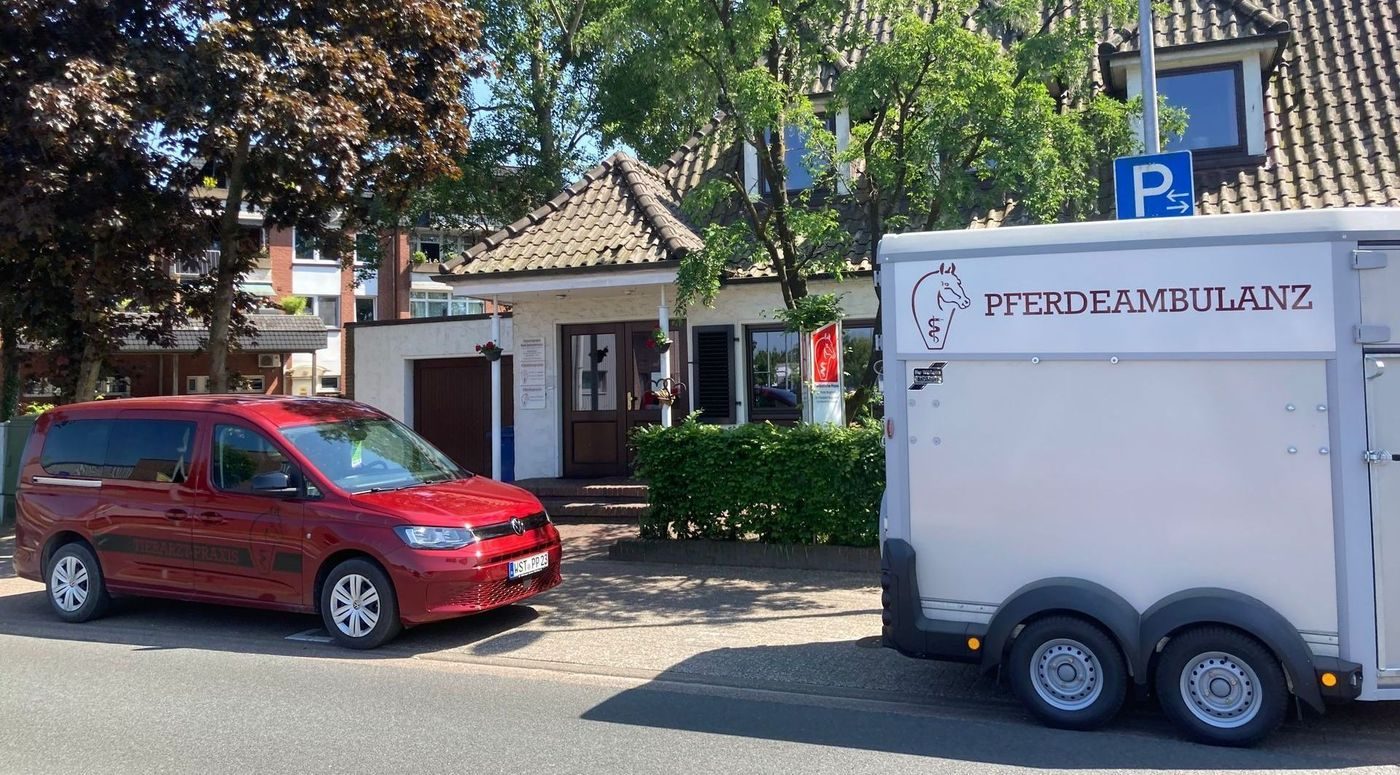 Tierärztin untersucht einen Hund in der Praxis